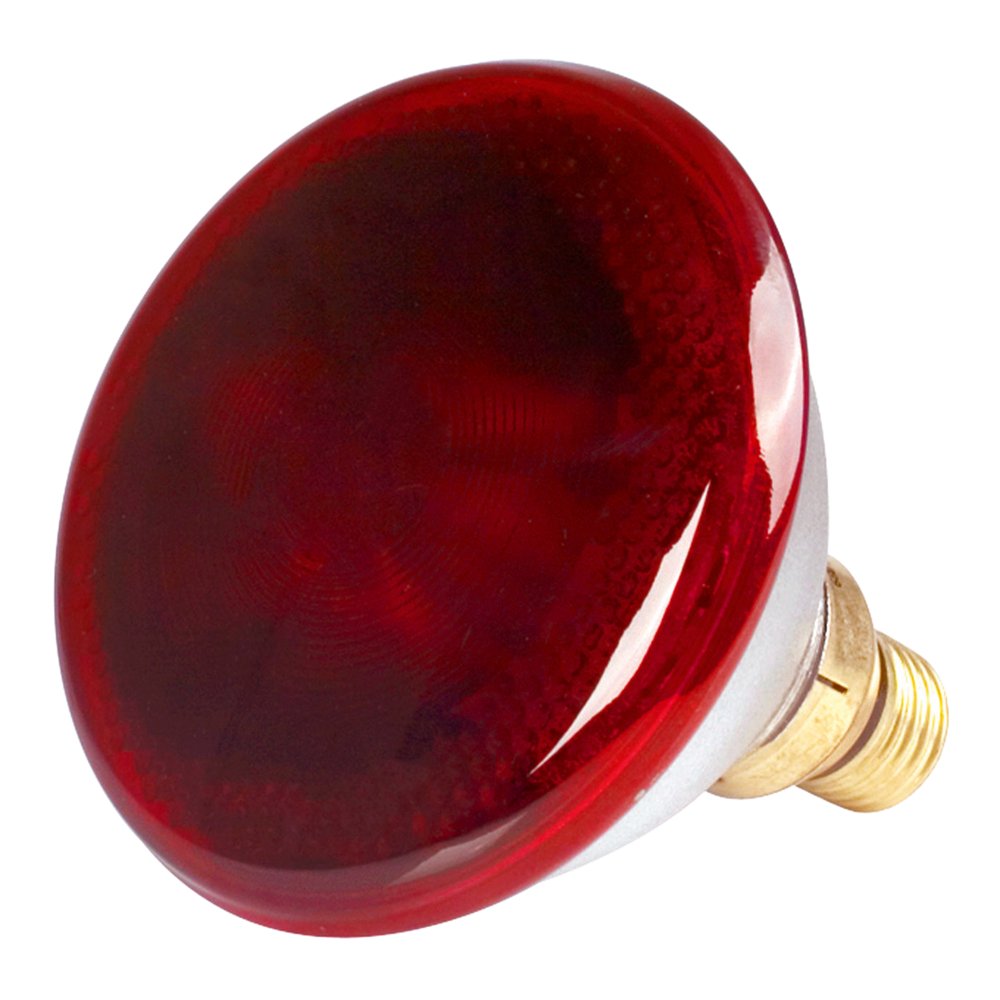 Poltek Philips Lamp / Globe Infrared 175w Par38 -100birds