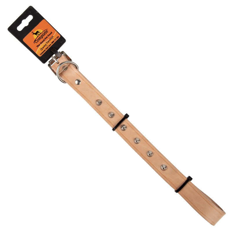 Complete Collar Heavy Stud 25 x 550mm