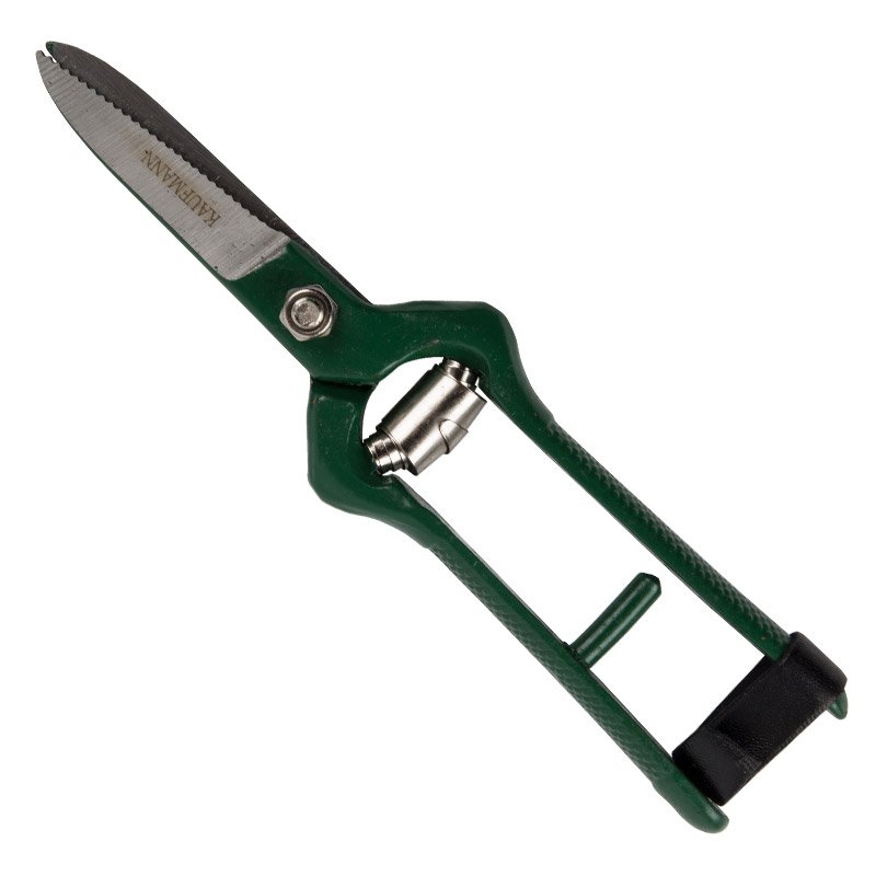 Kaufmann Garden Kaufmann Shear Grape Harvest