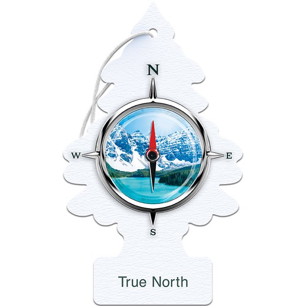 Little Trees Hanging Car Air Freshener – True North